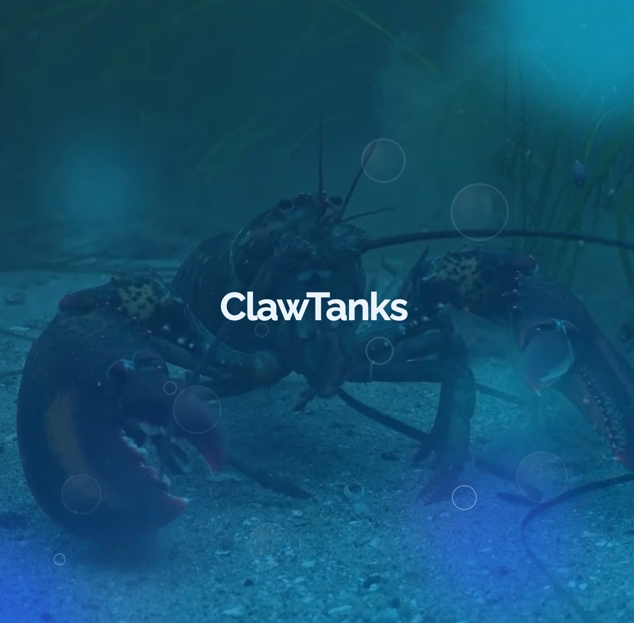 ClawTanks
